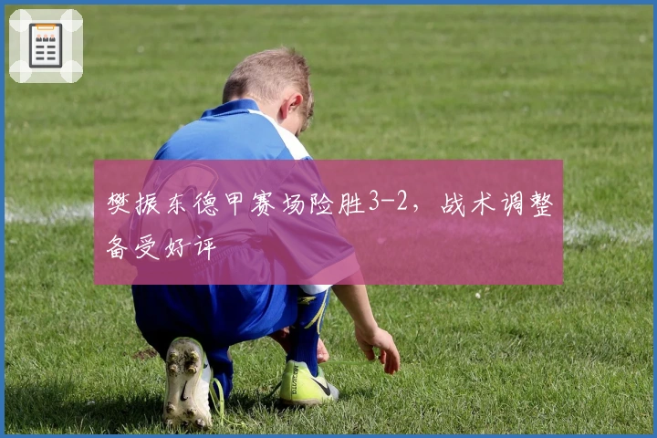 樊振东德甲赛场险胜3-2，战术调整备受好评